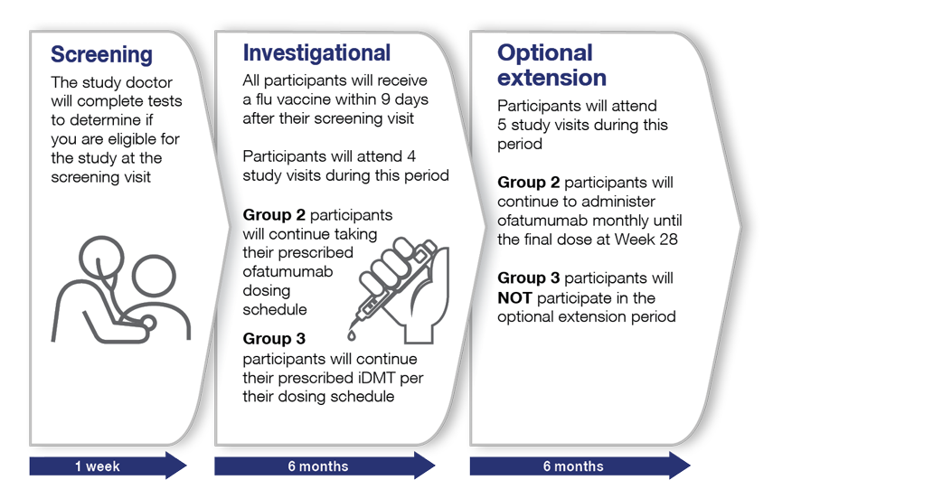 /Ofatumumab Flu Vaccine Study